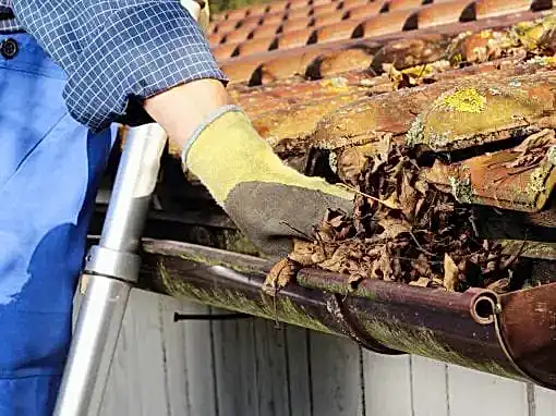 Gutter Cleaning