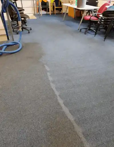 Carpet Cleaning Bristol